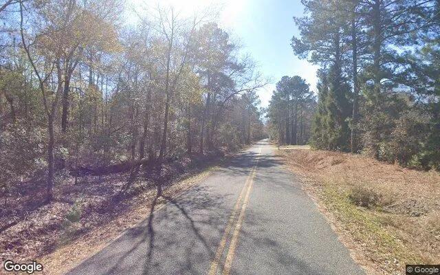 Decorative background for 0.48 Acres in Oakfield - Worth County, GA image 5