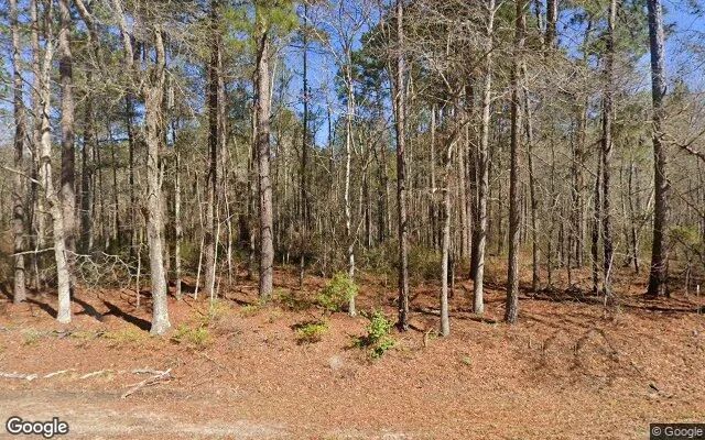 34.79 Acres in Glenwood - Wheeler County, GA in Wheeler County, Georgia