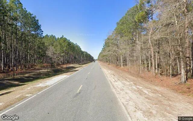 Decorative background for 34.79 Acres in Glenwood - Wheeler County, GA image 5
