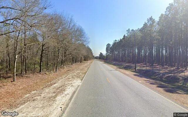 Decorative background for 34.79 Acres in Glenwood - Wheeler County, GA image 6