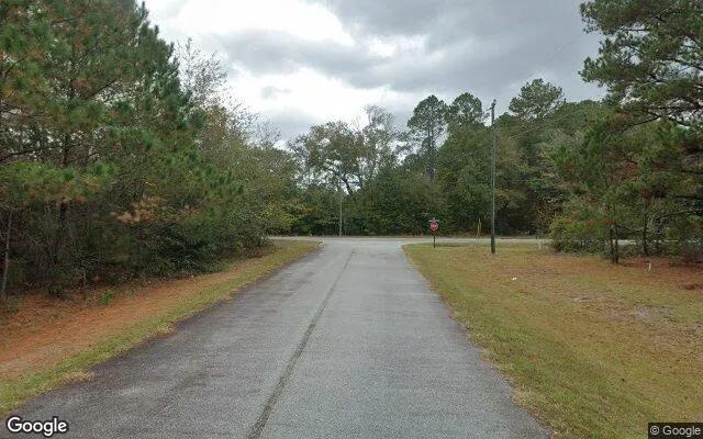 Decorative background for 0.46 Acres in Pembroke - Bryan County, GA image 6