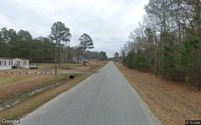 Decorative background for 0.55 Acres in Mount Vernon - Montgomery County, GA image 5