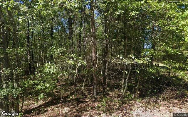 0.1 Acres in Menlo - Chattooga County, GA in Chattooga County, Georgia