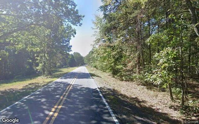 Decorative background for 0.1 Acres in Menlo - Chattooga County, GA image 5