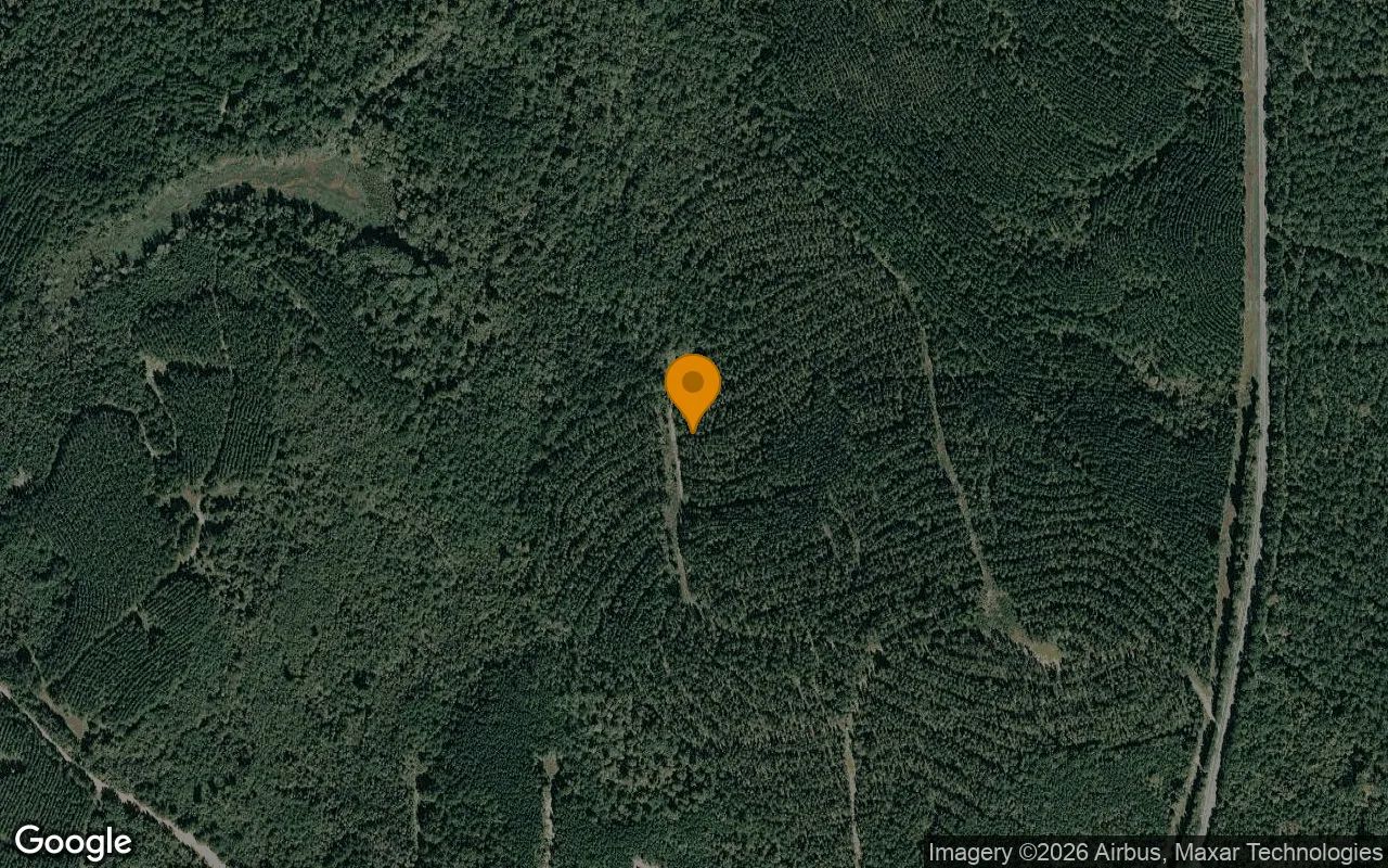 123.77 Acres in Jeffersonville - Twiggs County, GA in Twiggs County, Georgia