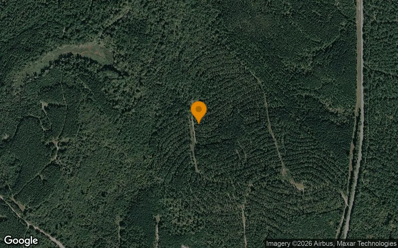 123.77 Acres in Jeffersonville - Twiggs County, GA - Main image