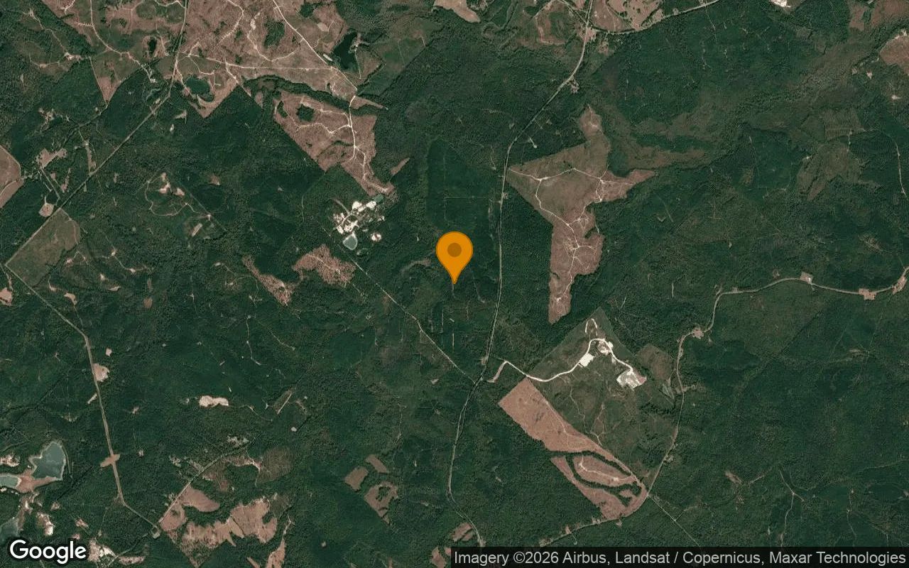 123.77 Acres in Jeffersonville - Twiggs County, GA in Twiggs County, Georgia