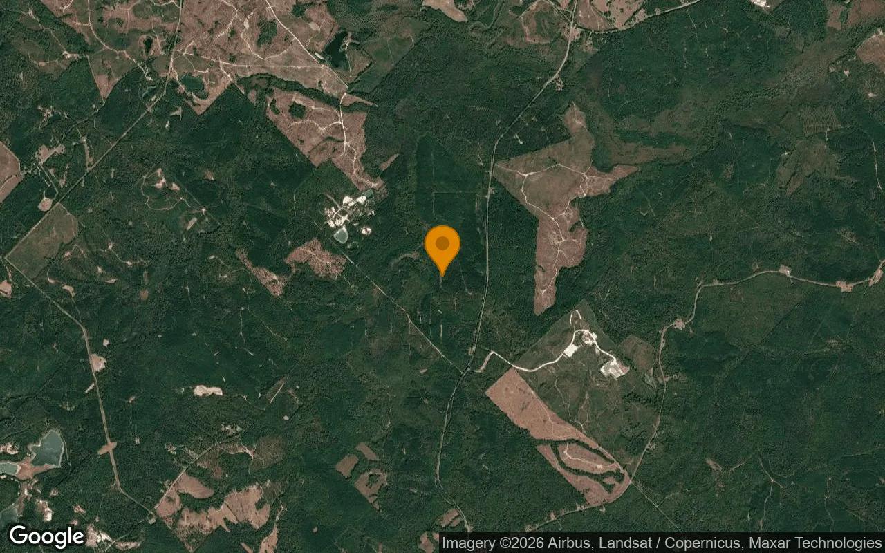 123.77 Acres in Jeffersonville - Twiggs County, GA - Image 3