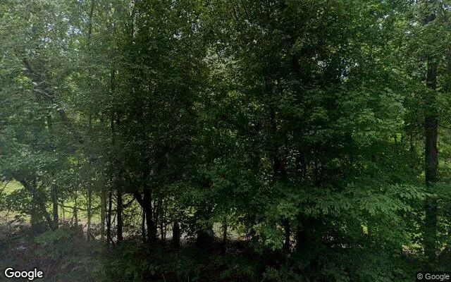 123.77 Acres in Jeffersonville - Twiggs County, GA in Twiggs County, Georgia