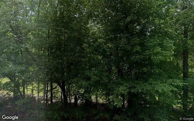 123.77 Acres in Jeffersonville - Twiggs County, GA - Image 4
