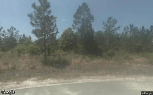 Decorative background for 1.5 Acres in Blackshear - Pierce County, GA image 5