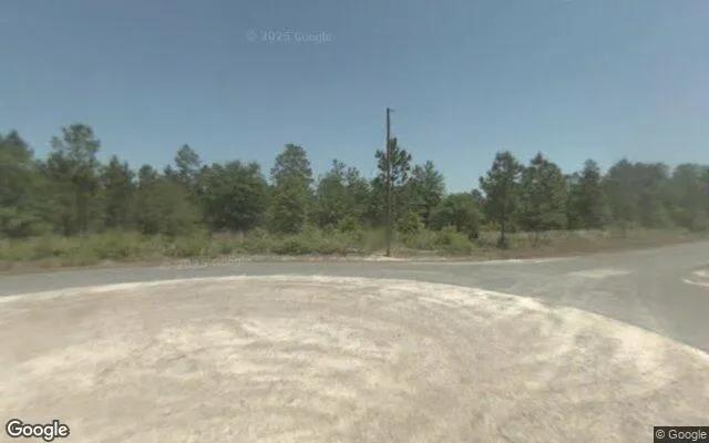Decorative background for 1.5 Acres in Blackshear - Pierce County, GA image 6