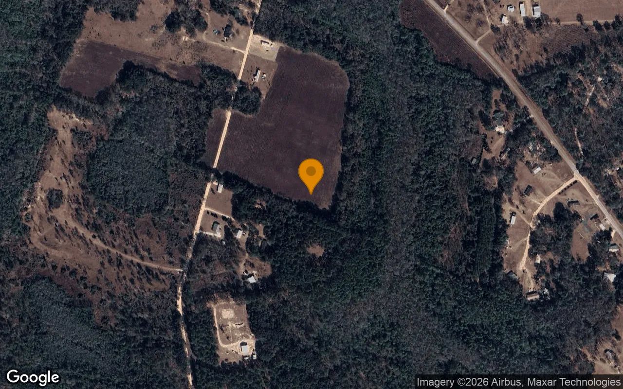 7.46 Acres in Ludowici - Long County, GA in Long County, Georgia