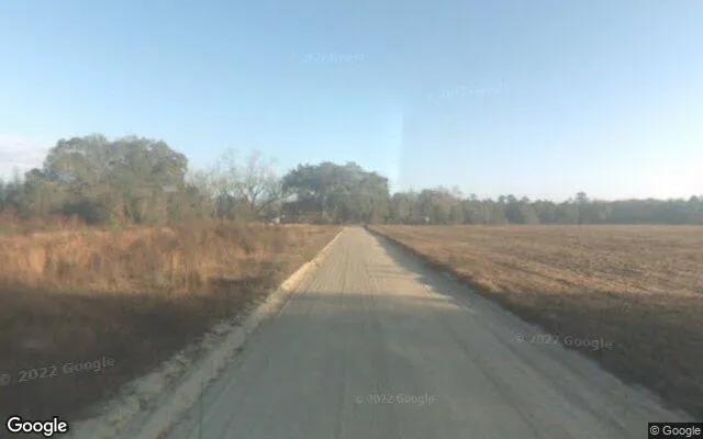 Decorative background for 7.46 Acres in Ludowici - Long County, GA image 5