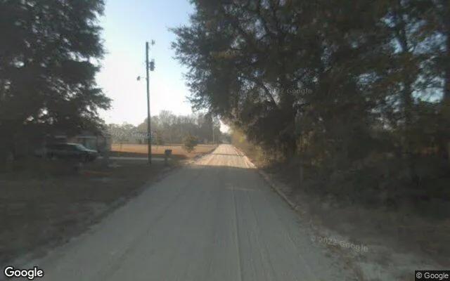Decorative background for 7.46 Acres in Ludowici - Long County, GA image 6