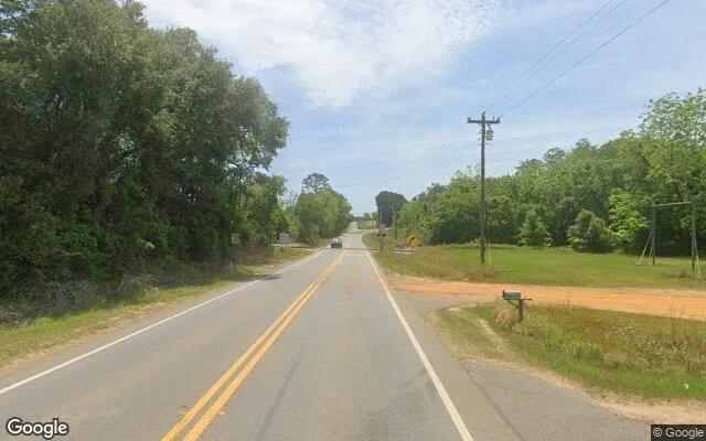 Decorative background for 0.55 Acres in Albany - Worth County, GA image 6