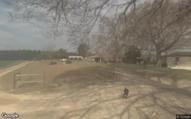 Decorative background for 14.88 Acres in Sylvania - Screven County, GA image 6