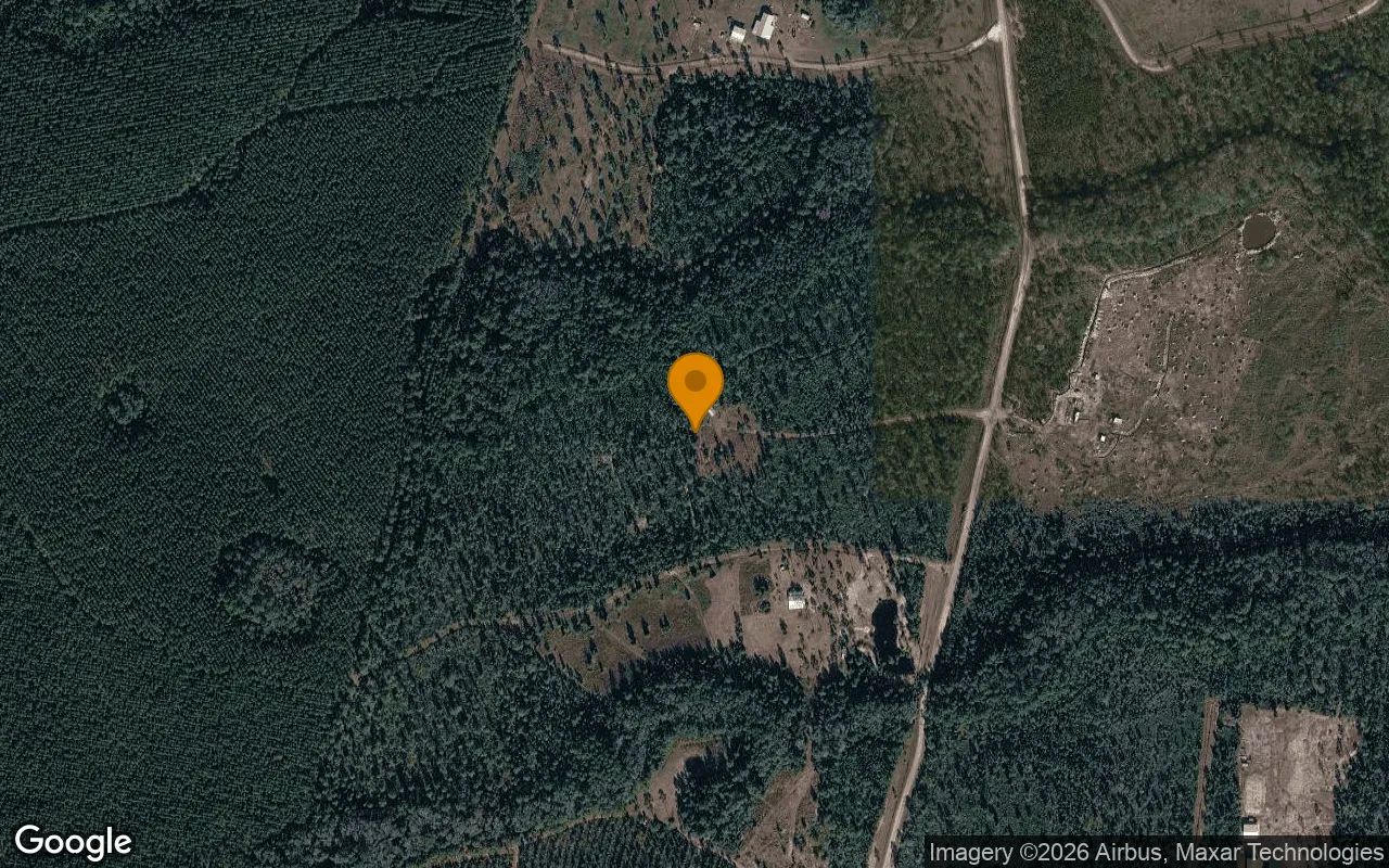 36.02 Acres in Folkston - Charlton County, GA in Charlton County, Georgia