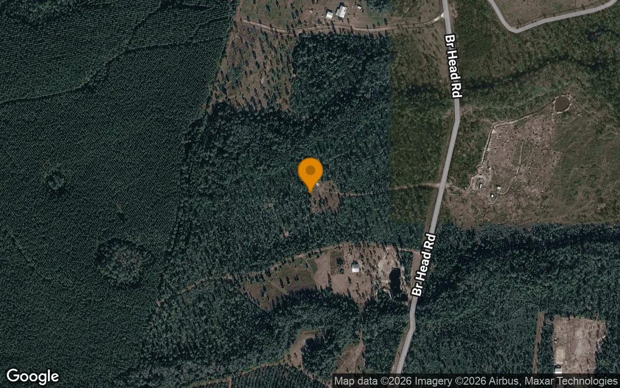 Decorative background for 36.02 Acres in Folkston - Charlton County, GA image 6