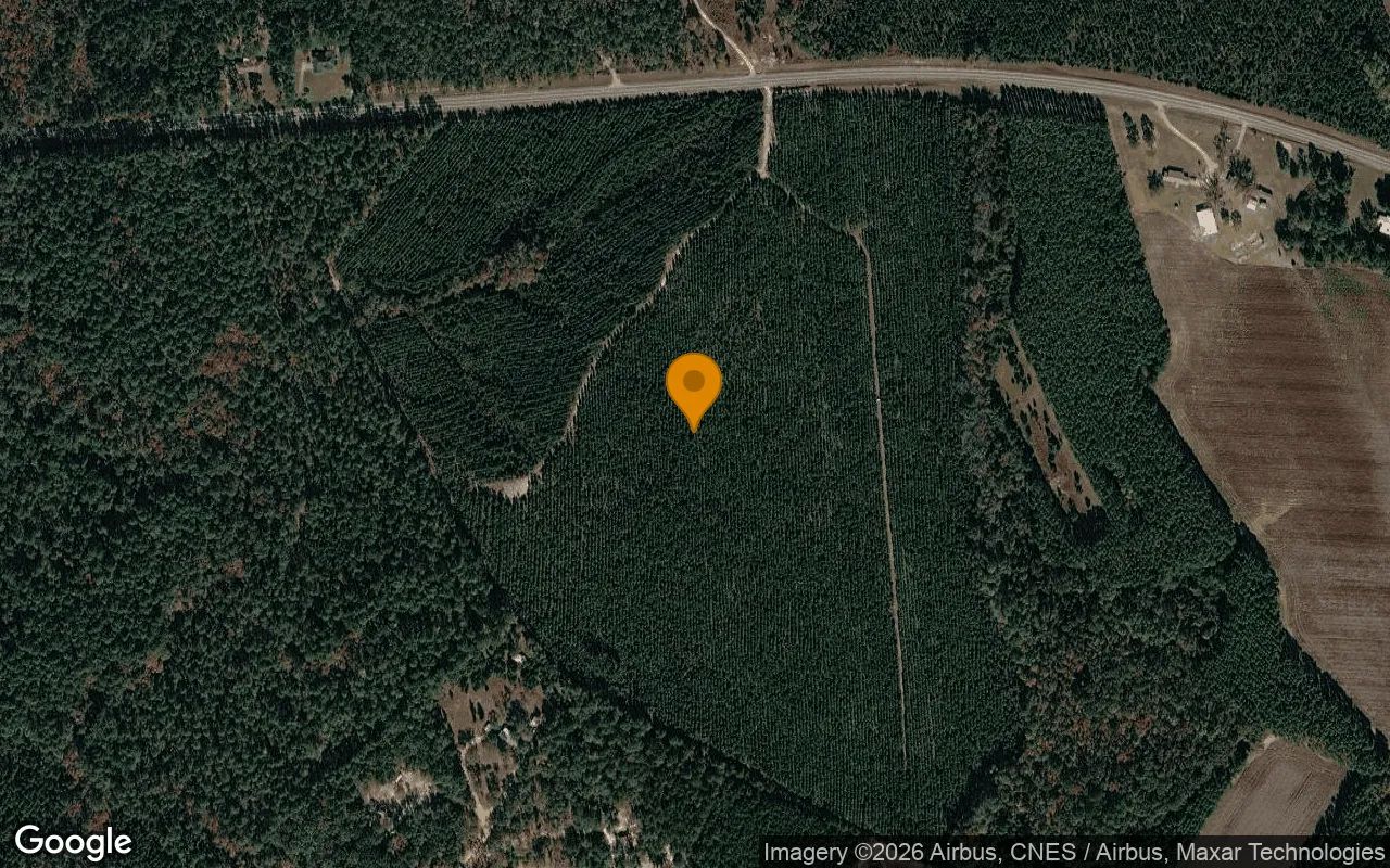75.3 Acres in Soperton - Treutlen County, GA in Treutlen County, Georgia