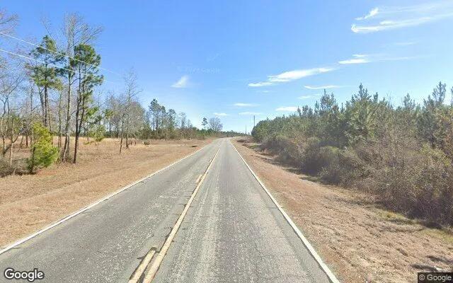 Decorative background for 75.3 Acres in Soperton - Treutlen County, GA image 5
