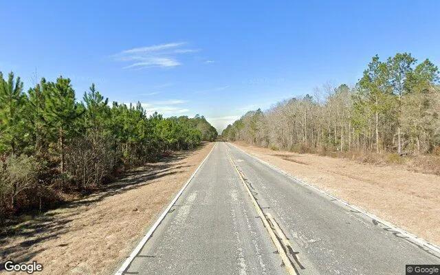 Decorative background for 75.3 Acres in Soperton - Treutlen County, GA image 6