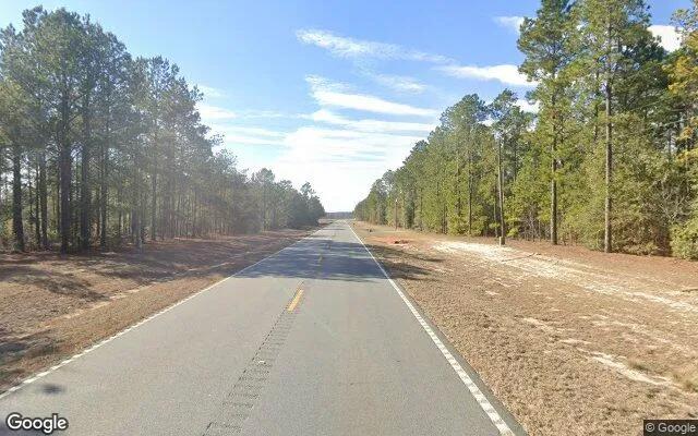 Decorative background for 23.06 Acres in Rupert - Taylor County, GA image 5