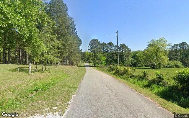 Decorative background for 7.42 Acres in Thomaston - Upson County, GA image 5