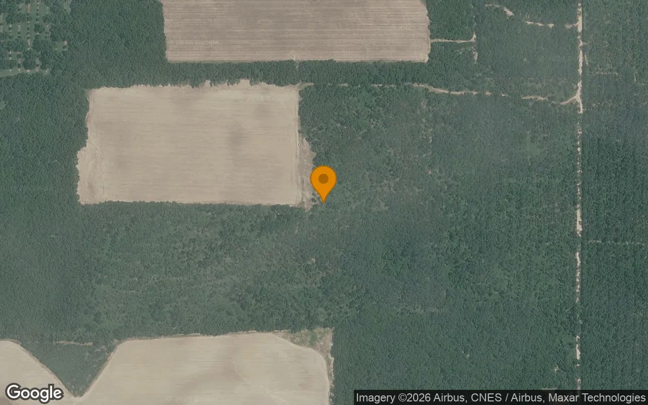 125.65 Acres in Camilla - Mitchell County, GA in Mitchell County, Georgia
