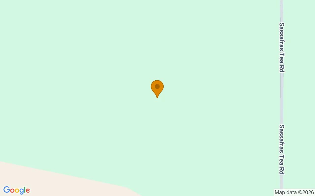 125.65 Acres in Camilla - Mitchell County, GA - Image 2