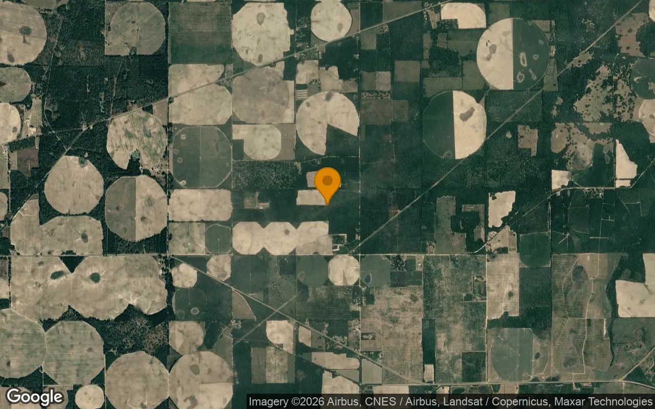 125.65 Acres in Camilla - Mitchell County, GA in Mitchell County, Georgia