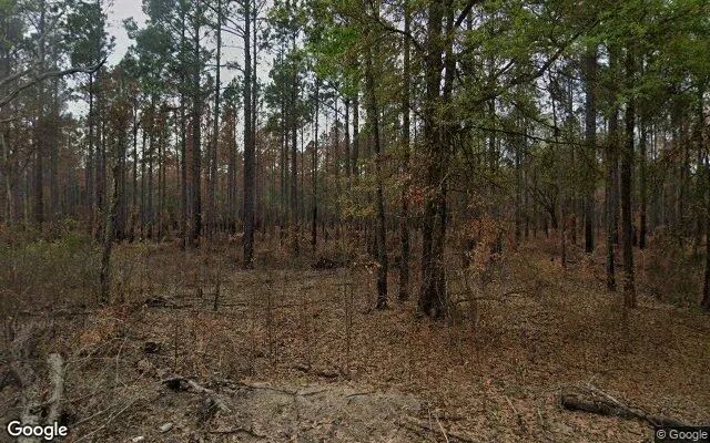 125.65 Acres in Camilla - Mitchell County, GA in Mitchell County, Georgia