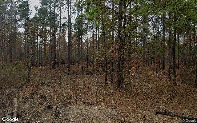 125.65 Acres in Camilla - Mitchell County, GA - Image 4