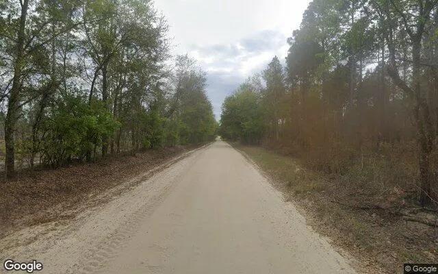 Decorative background for 125.65 Acres in Camilla - Mitchell County, GA image 5