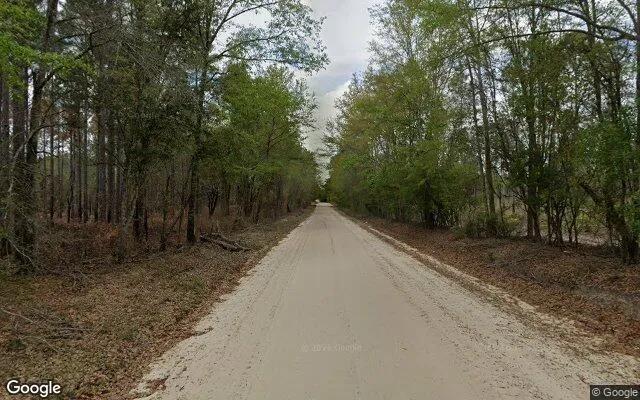 Decorative background for 125.65 Acres in Camilla - Mitchell County, GA image 6
