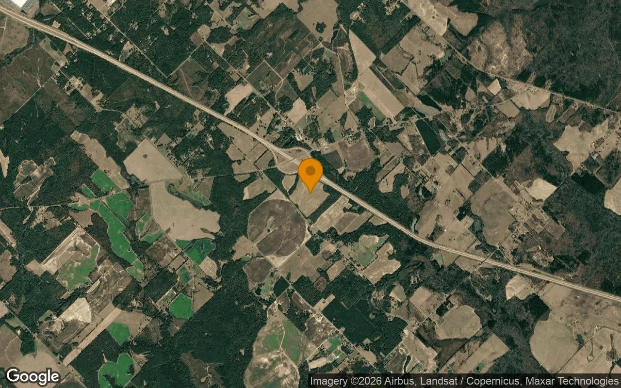 123.36 Acres in Danville - Twiggs County, GA in Twiggs County, Georgia