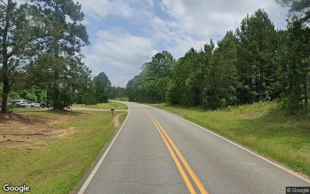 Decorative background for 0.31 Acres in Musella - Crawford County, GA image 5