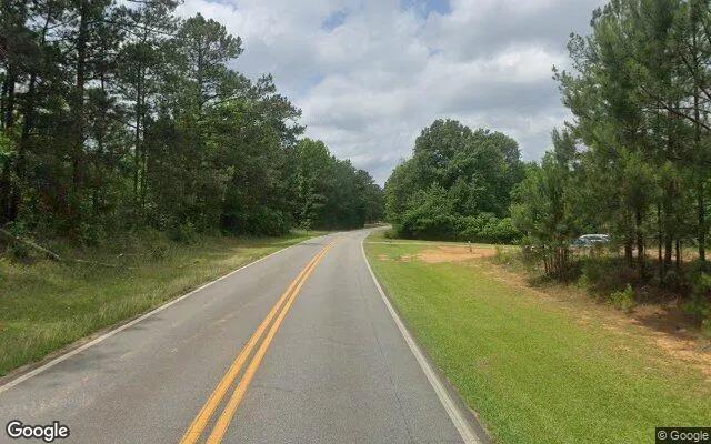 Decorative background for 0.31 Acres in Musella - Crawford County, GA image 6