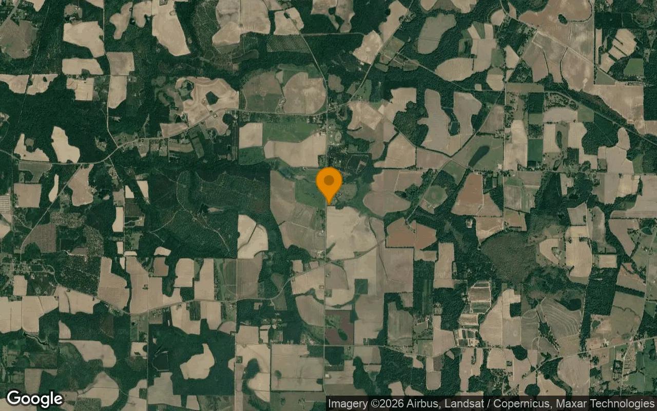 0.54 Acres in Pavo - Thomas County, GA - Image 3