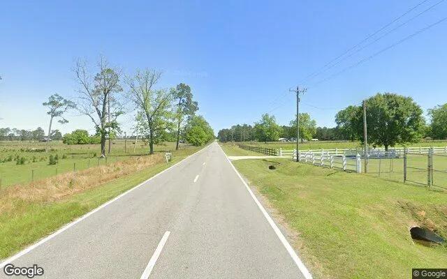 Decorative background for 0.54 Acres in Pavo - Thomas County, GA image 5