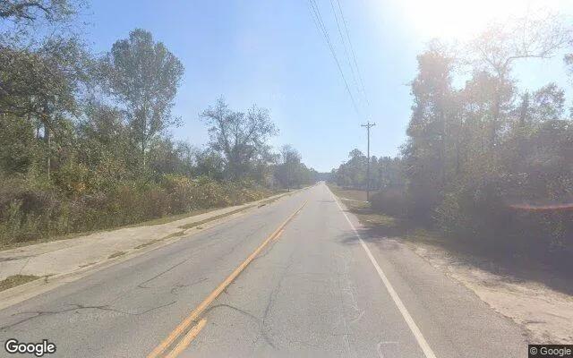 Decorative background for 0.28 Acres in Stillmore - Emanuel County, GA image 6