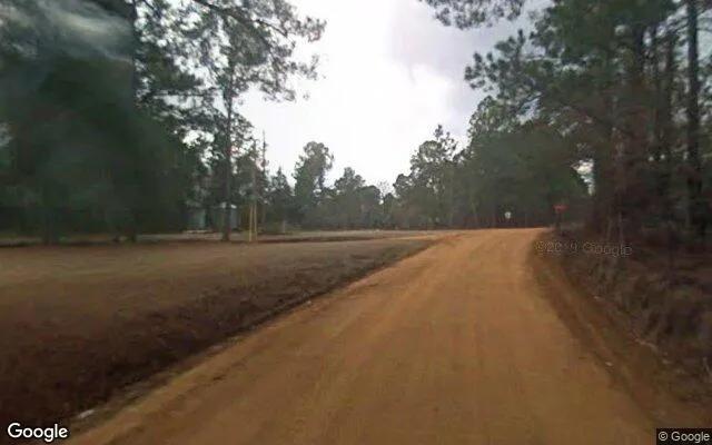 Decorative background for 0.55 Acres in Uvalda - Montgomery County, GA image 6