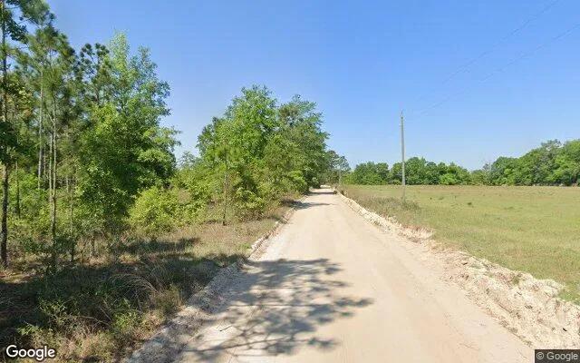 Decorative background for 7.34 Acres in Glennville - Long County, GA image 5