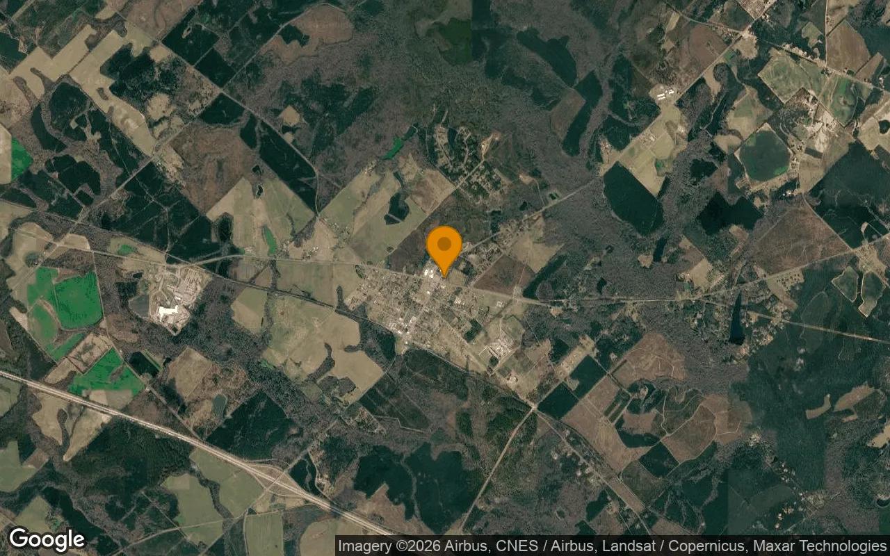 0.23 Acres in Dudley - Laurens County, GA - Image 3