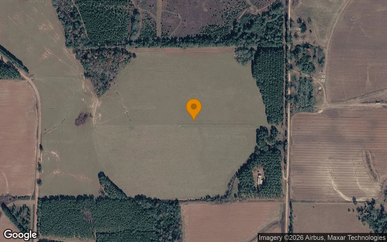 74.46 Acres in Edison - Calhoun County, GA in Calhoun County, Georgia