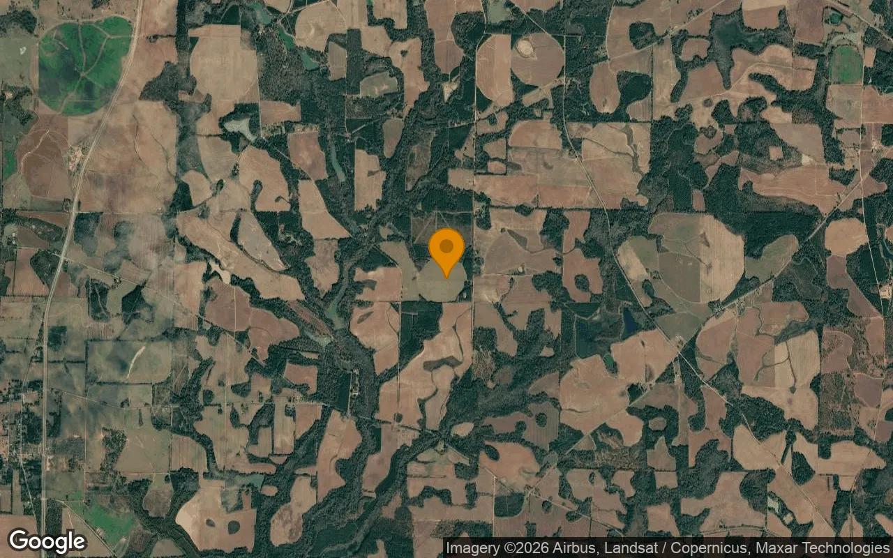 74.46 Acres in Edison - Calhoun County, GA - Image 3
