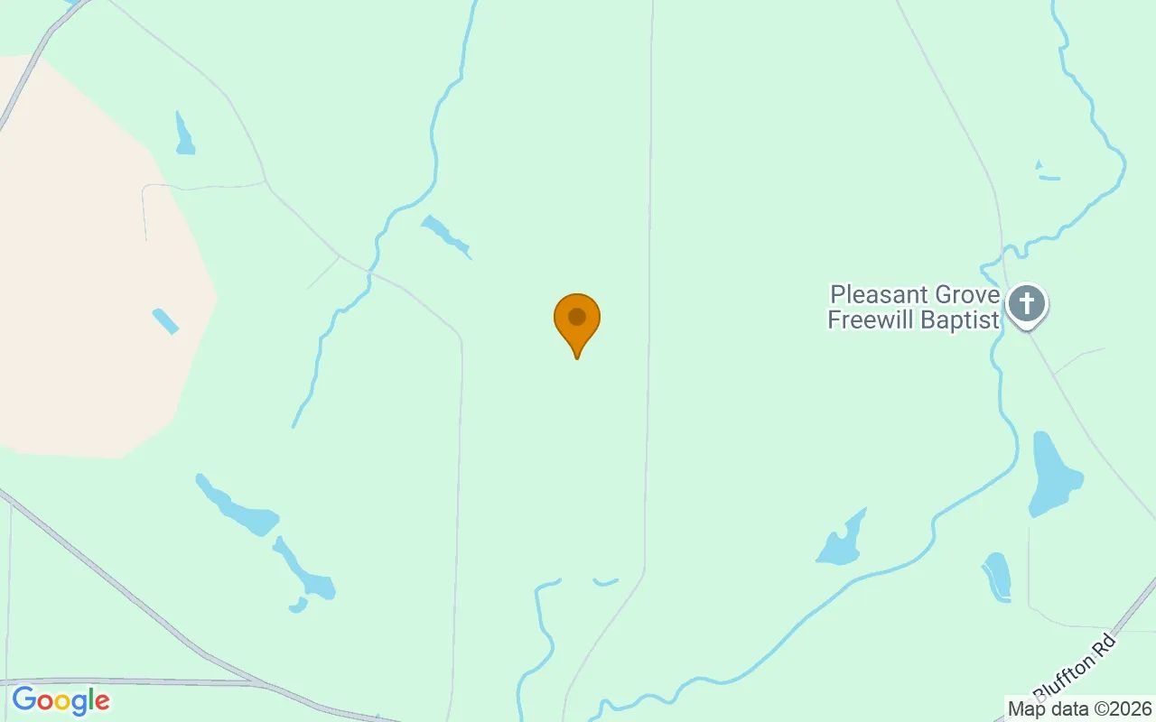 74.46 Acres in Edison - Calhoun County, GA in Calhoun County, Georgia