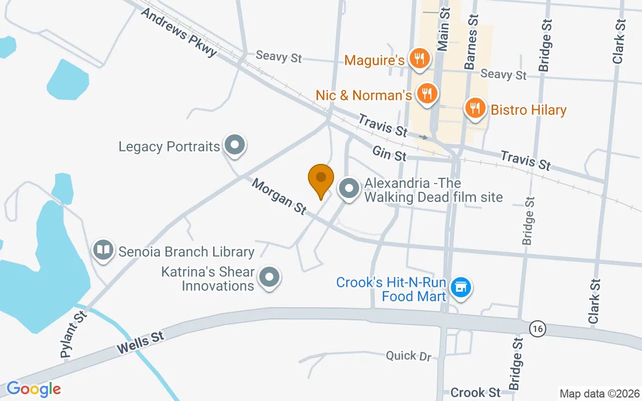 0.13 Acres in Senoia - Coweta County, GA in Coweta County, Georgia