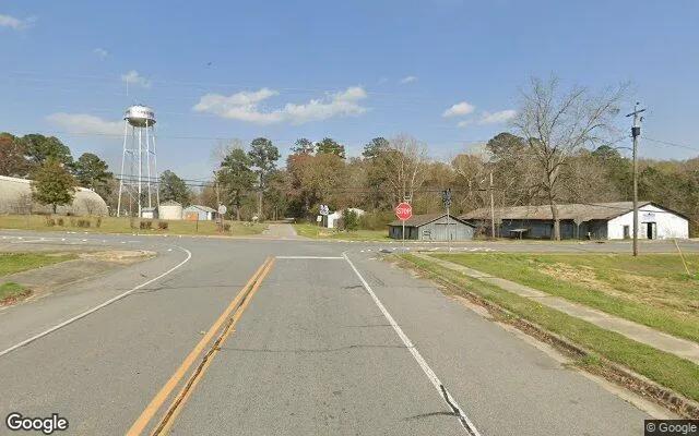 Decorative background for 0.13 Acres in Chester - Dodge County, GA image 6