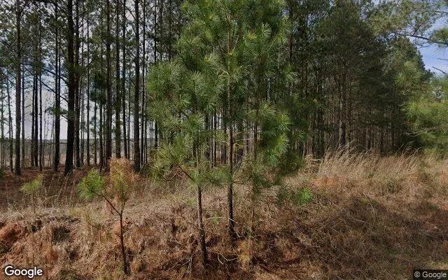2.02 Acres in Maxeys - Oglethorpe County, GA - Image 4